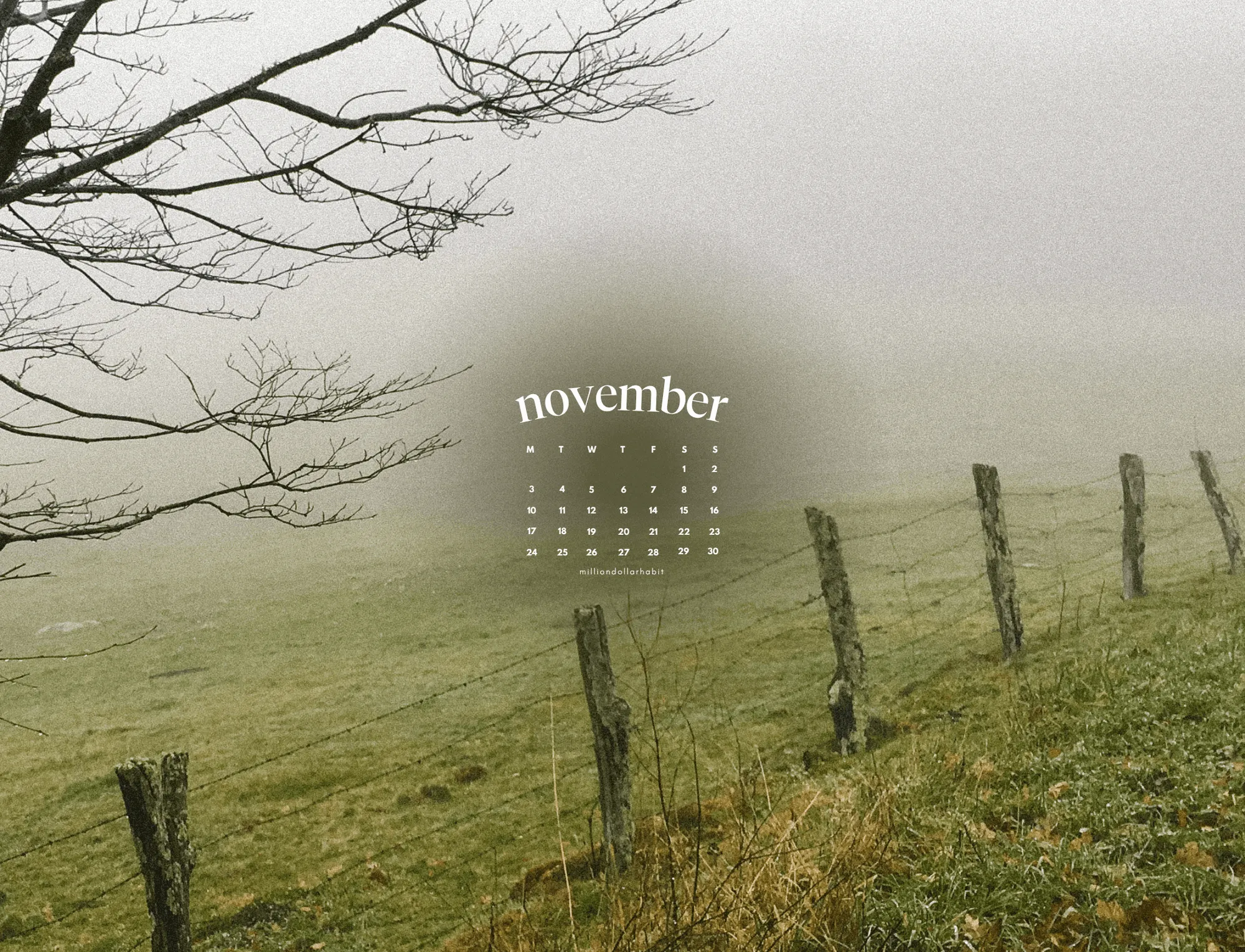 November Wallpapers 2026